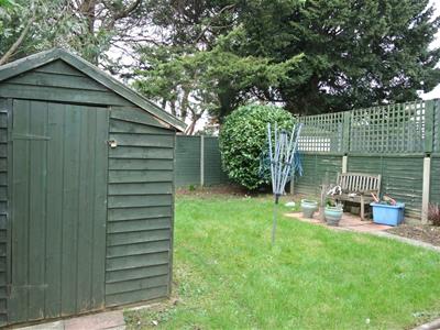 Picture 10
